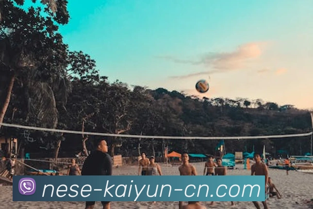 开云体育地址APP 封面图